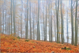 <p>Šluknovsko - Království</p>